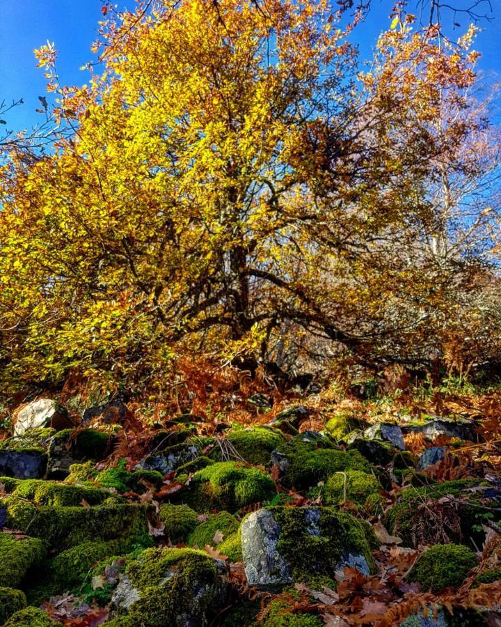 Casa Turismo Rural O Filandon Suertes Dış mekan fotoğraf